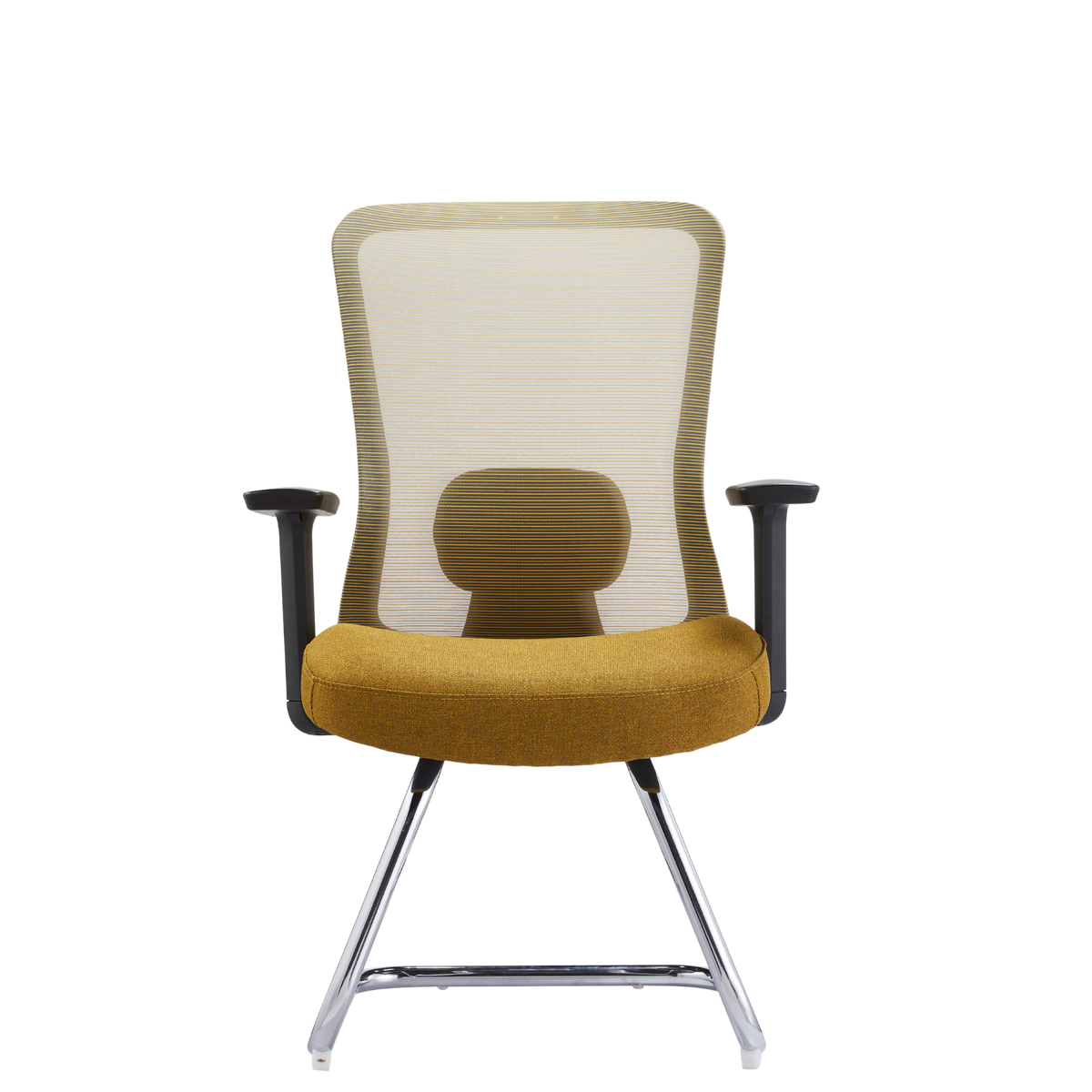 Silla Bio Visita