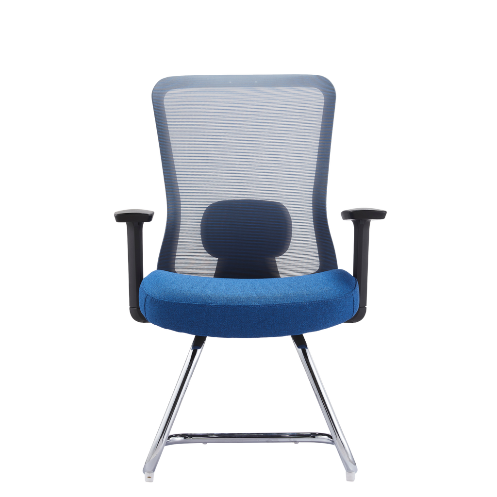 Silla Bio Visita