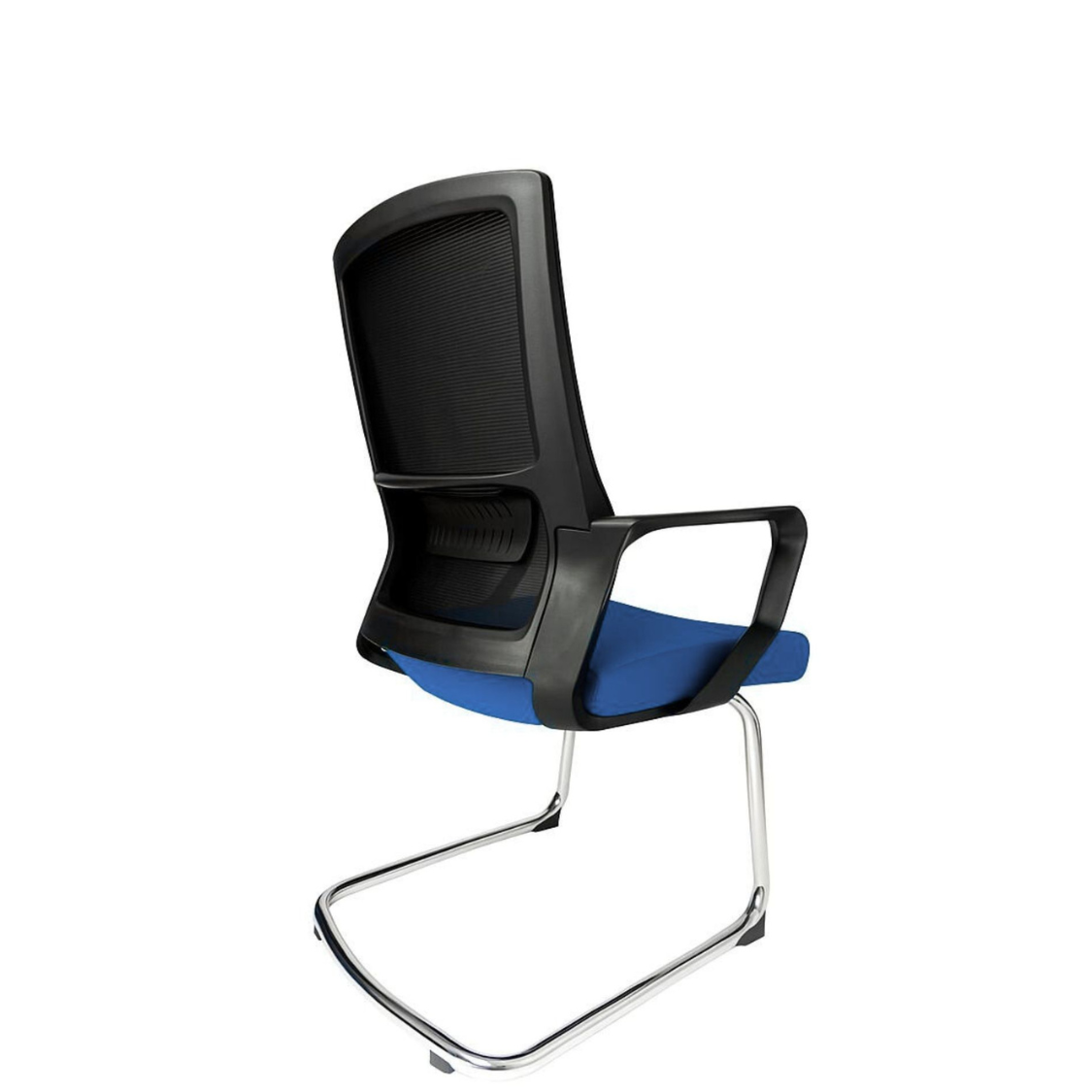 Silla Zoom Visita