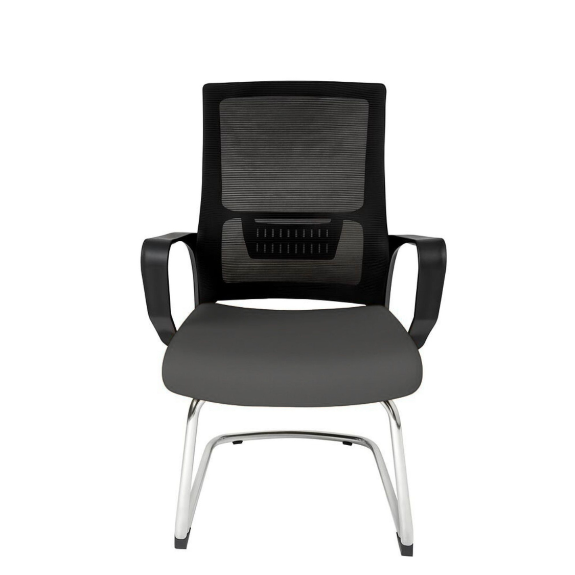Silla Zoom Visita