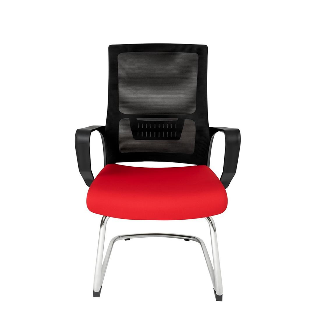 Silla Zoom Visita
