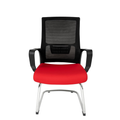 Silla Zoom Visita