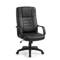 Silla Ejecutiva para Oficina - Vista Frontal
